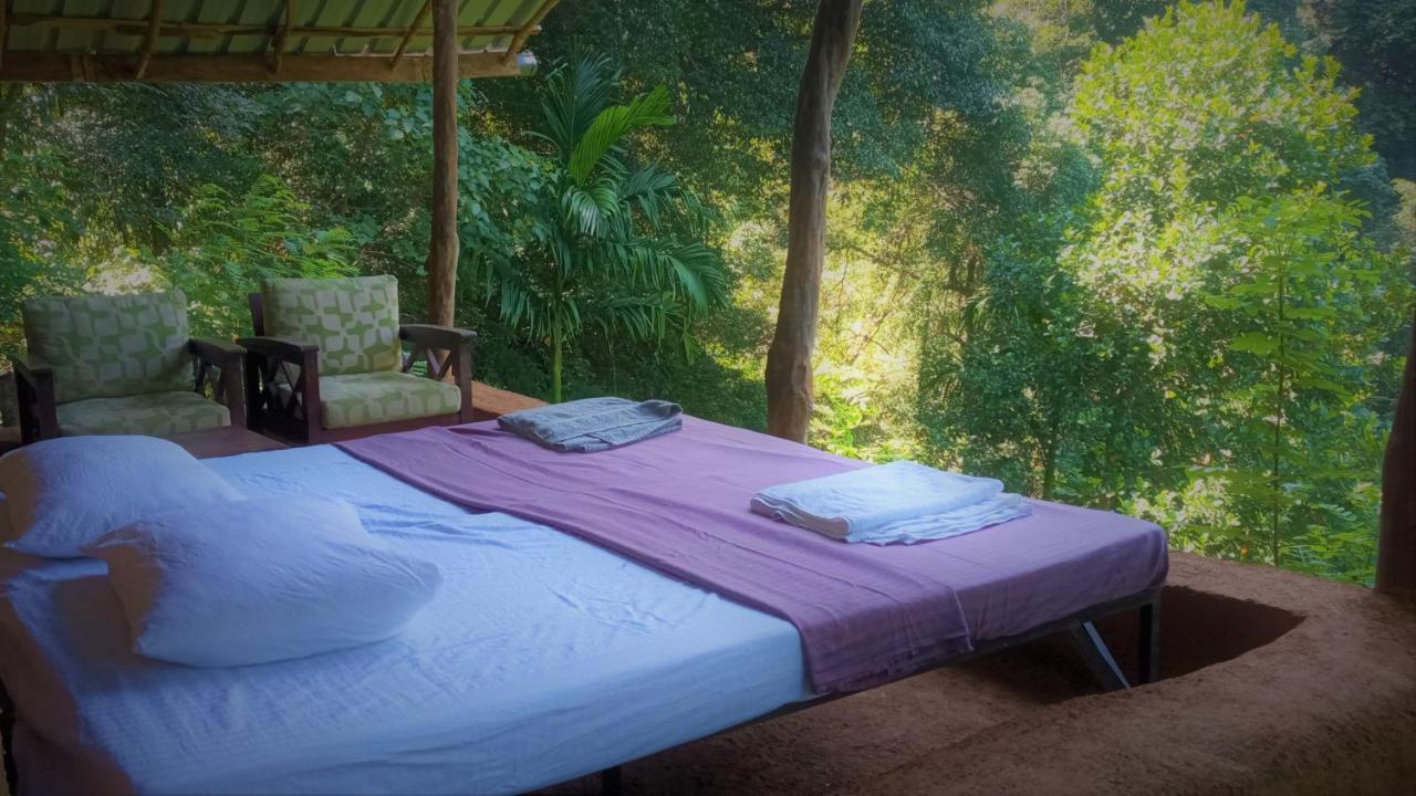 Chalet In The Jungle Pallegama Exterior photo