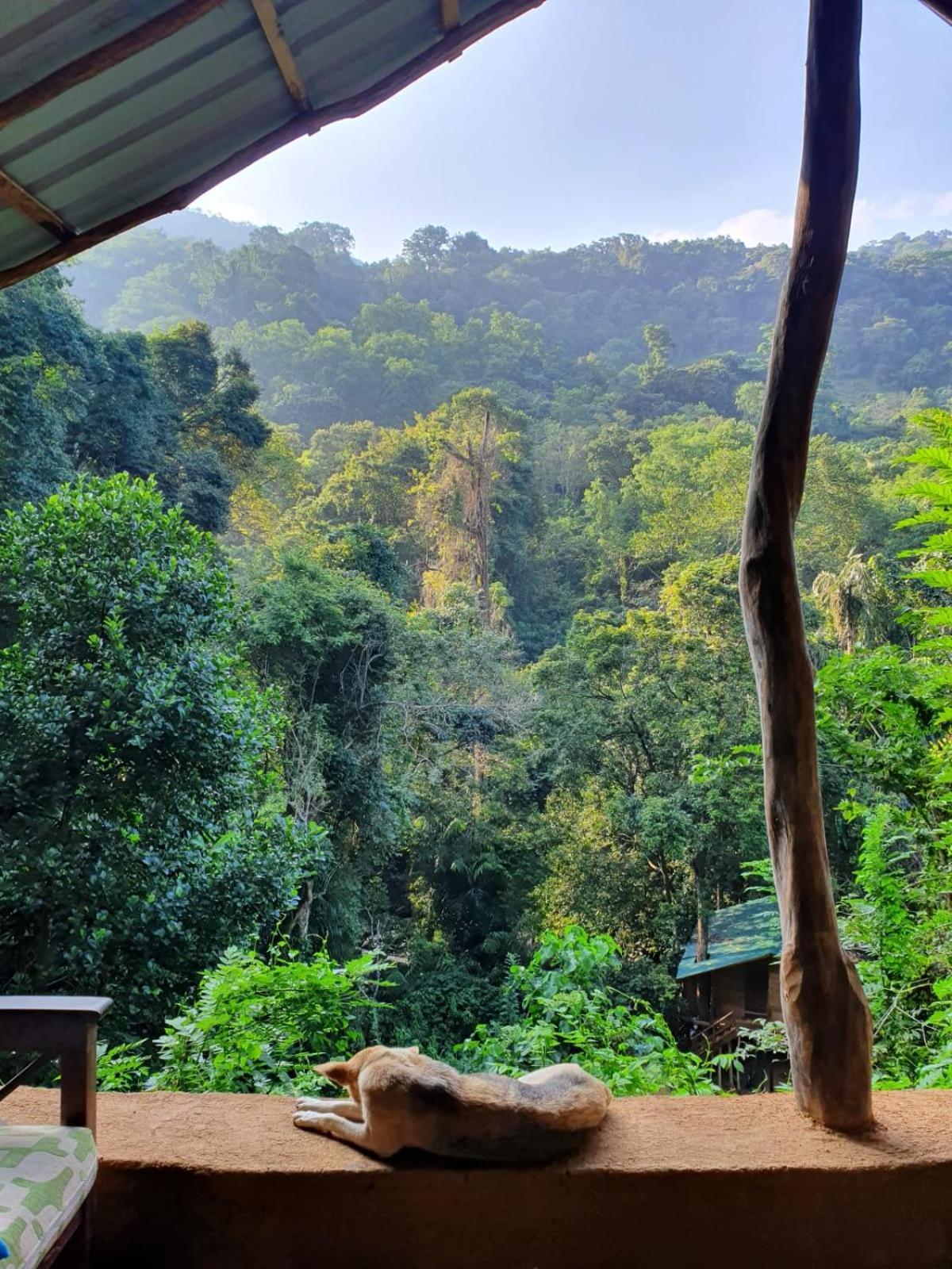 Chalet In The Jungle Pallegama Exterior photo